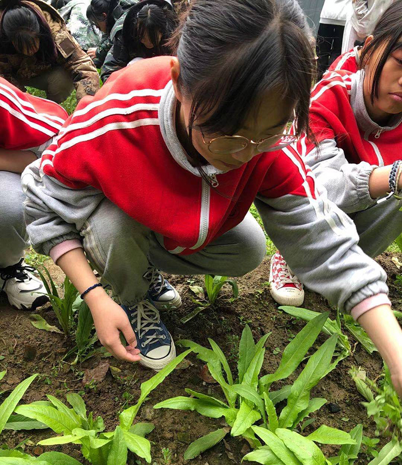 孩子叛逆期管教学校