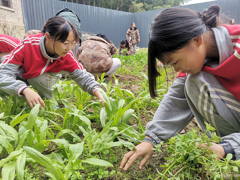 全封闭学校|叛逆孩子教育改变学校