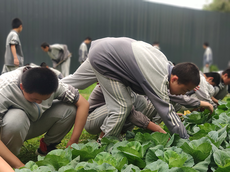 专治叛逆孩子学校|全封闭式改造学校