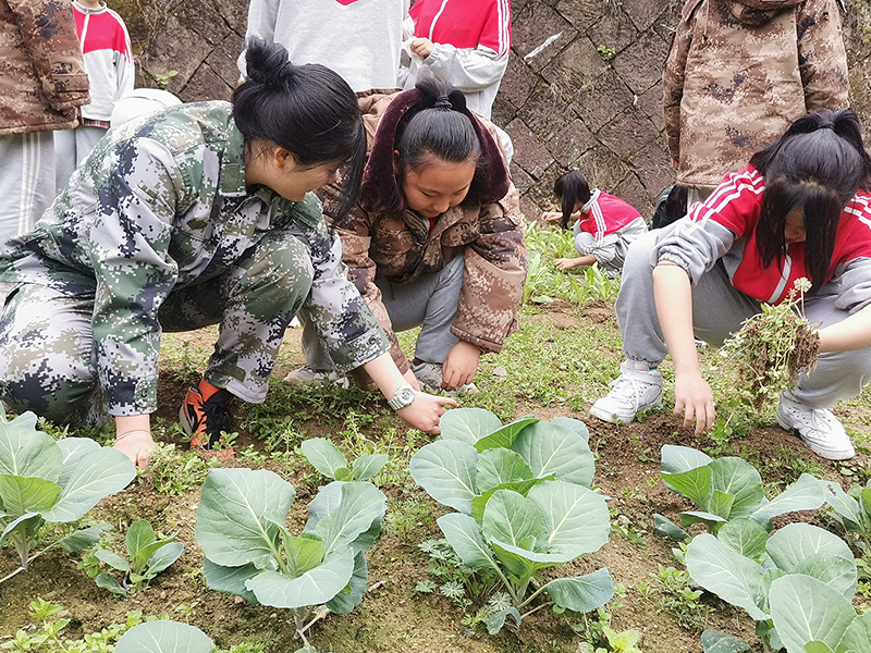 天门孩子厌学教育管教学校