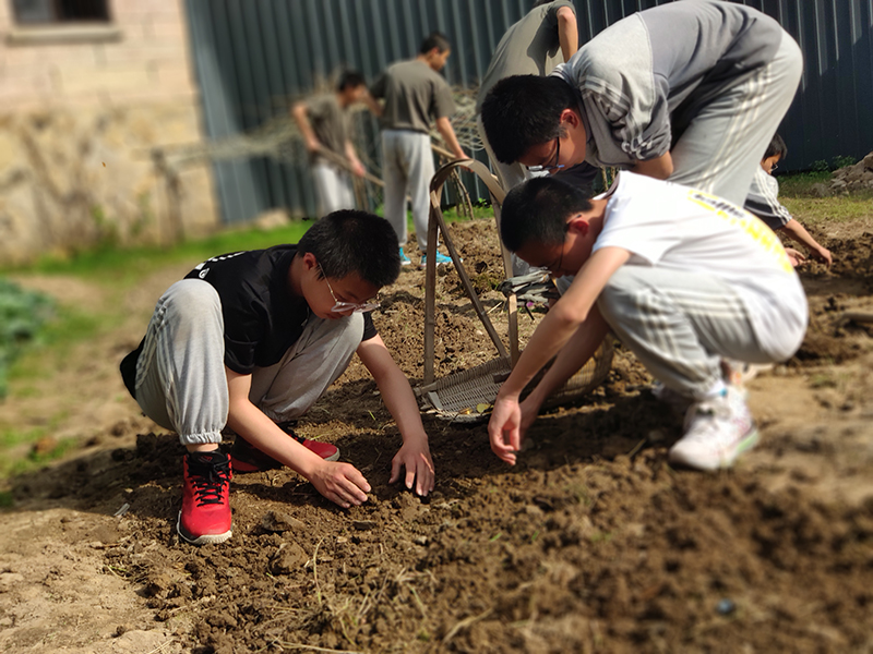 叛逆青少年素质教育学校