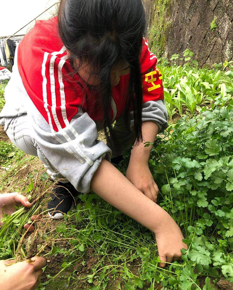 开封管教叛逆孩子的学校