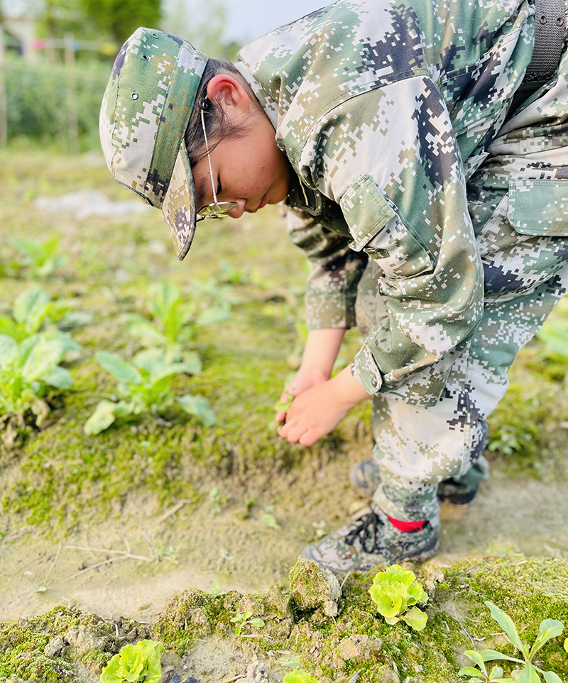 信阳全封闭正规戒网瘾学校