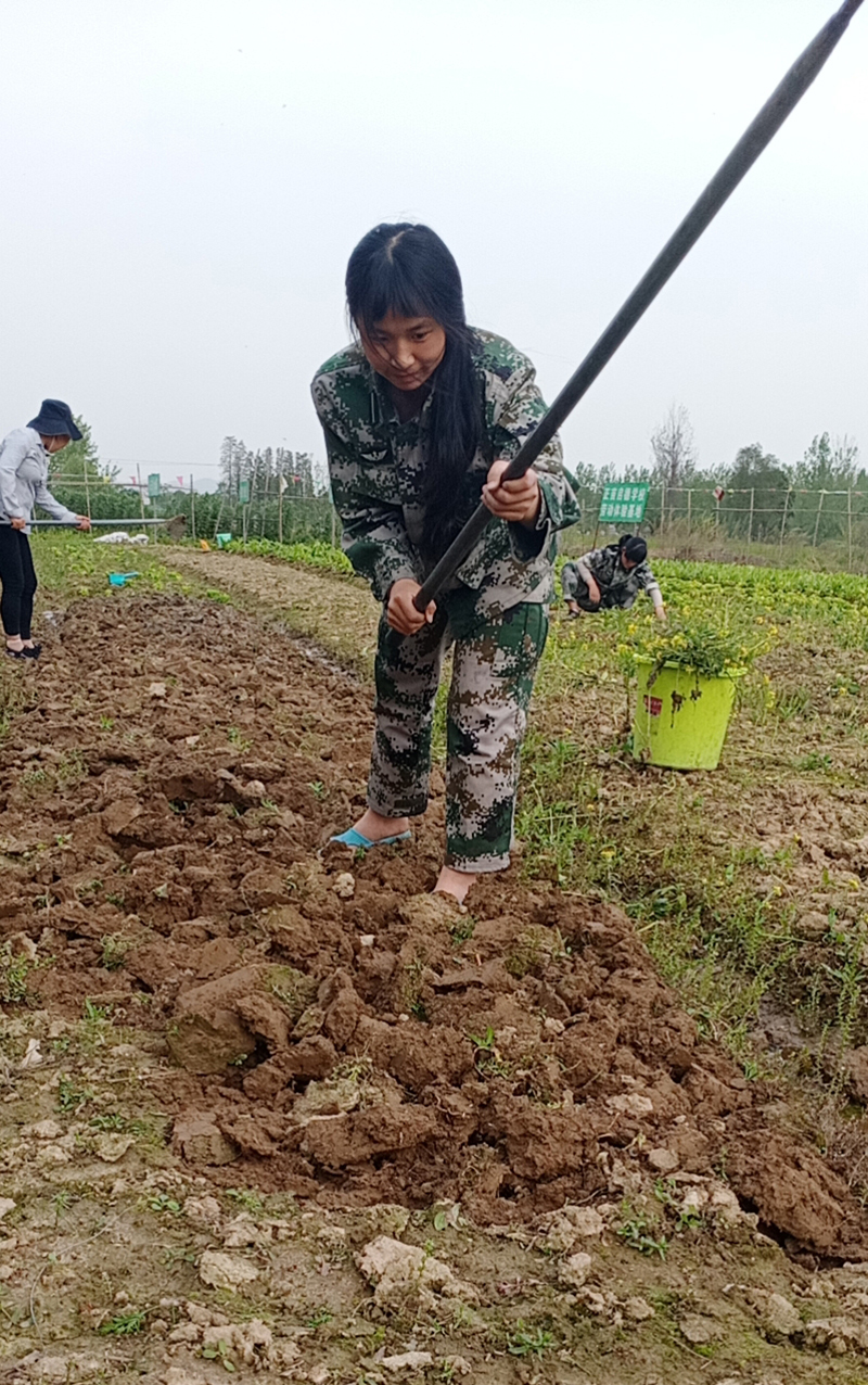 全封闭军事化管理学校|特训学校