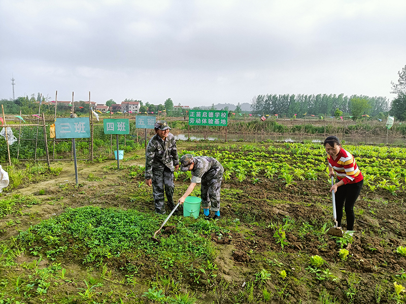 亳州全封闭军事化管理学校|特训学校